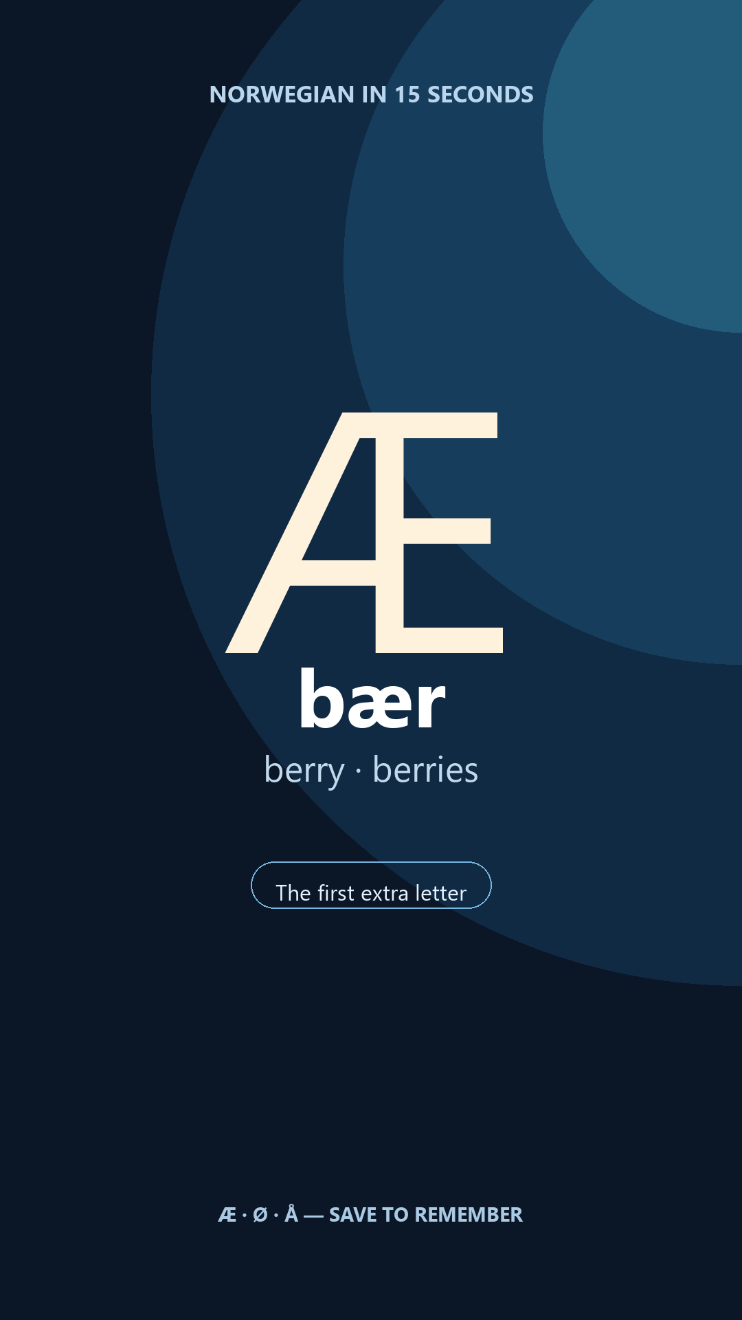 Æ in Norwegian
